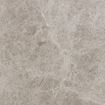Picture of Galaxy Gray