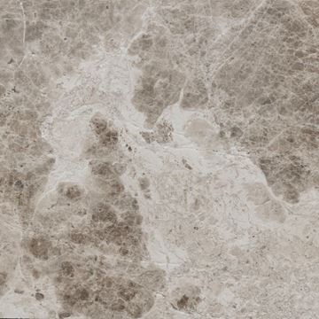 Picture of Siver Leopard