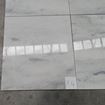 Picture of Dream White X4