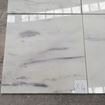 Picture of Dream White X4