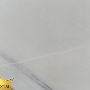 Picture of Dream White X1-M