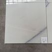 Picture of Dream White X1-M